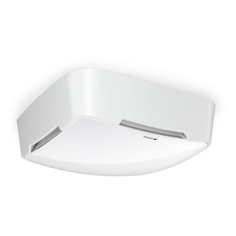 STEINEL Multisensor True Presence DALI-2 Input Device - surface